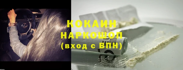 индика Богданович