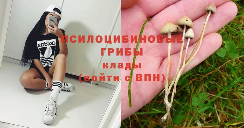 мега ссылки  Грязи  Галлюциногенные грибы MAGIC MUSHROOMS 